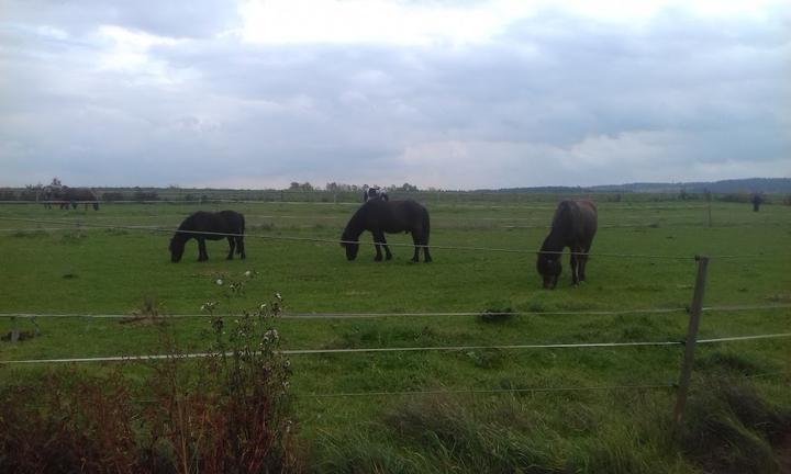 Landgasthof Weigert