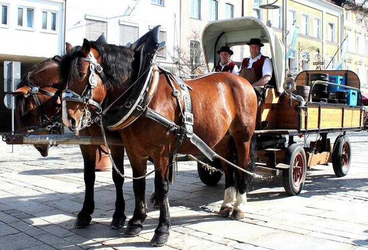 Hofbräuhaus Traunstein Bräustüberl